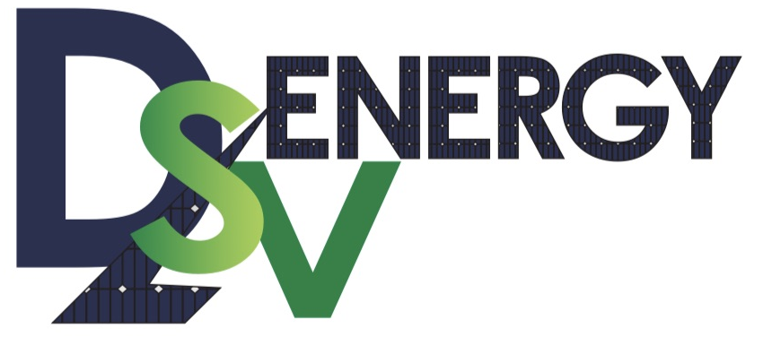 dlsv Logo